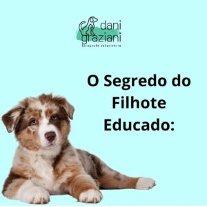 Curso voltado para tutores e quem deseja saber mais sobre educação para filhote. Clique na imagem para mais informações. 